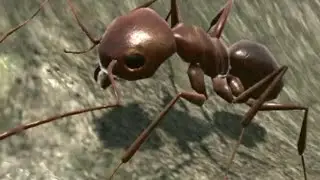 VIREI UMA FORMIGA   ANT SIMULATION 3D