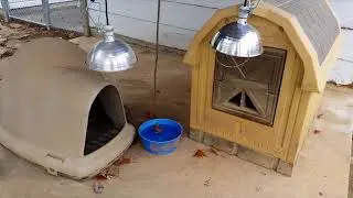 Keeping Dogs Warm with Alexa and WeMo