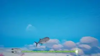 Tchia Trophy Guide: Where to find the trevally fish for 100%
