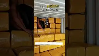 Ever Seen Unloading a Container from China?🤔 #youtubeshorts #facts #shorts #ytshorts #shortsfeed