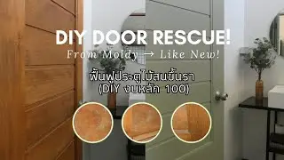 DIY DOOR RESCUE! From Moldy - Like New! | ฟื้นฟูประตูไม้สนขึ้นรา (DIY งบหลัก 100 บาท) #MoldRemoval