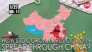 How did coronavirus COVID-19 spread through China?