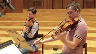 Hinterland for Chamber Strings - Rapha&euml;l Novarina [By Bratislava Orchestra]