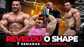 BRANDAO 7 SEMANAS PARA O MR. OLYMPIA | BRAÇOS COM PACHOLOK