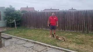 Stage 1 of a recall - Classical Conditioning
