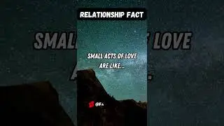 Small Acts, Strong Bonds: Building Love Brick by Brick! ❤️🧱 #SmallActsOfLove #StrongBonds