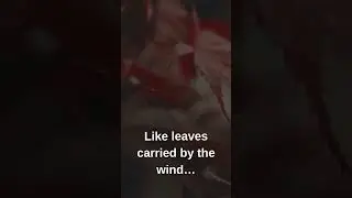 Tree leaves - Like leaves carried by the wind - NH95SV