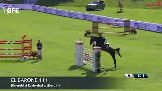 EL BARONE 111
