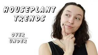 which houseplant trends are overrated? | orchid spray, moss poles, liquidirt & more!