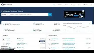 Ethereum HEX to get rich ! what is etherscan ?  Crypto financial freedom self custody