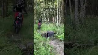 Kayo t4 300 #cross #ytshorts #dirtbike #kayo #enduro