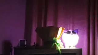 24.01.26г гЧЕ  