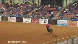 What is Reined Cow Horse - NRCHA interview