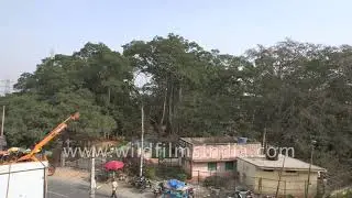 Kethohalli village road of Ramanagara district, Bangalore