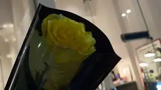 تحدي انجاز ترميم محمصة ومقهى بُــ عـد خلال خمس أيام فقط!!! الجزء السادس والاخير
