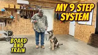 The 9 Steps I Use to Train Every Board & Train Dog