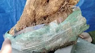 (( đ&atilde; b&aacute;n))M893 ph&ocirc;i ho&agrave;n dương co lắc bầu rin 400k lh 0784005295 khi&ecirc;m