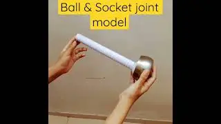 How Ball and Socket Joint Let You Move Like This #ball&socket