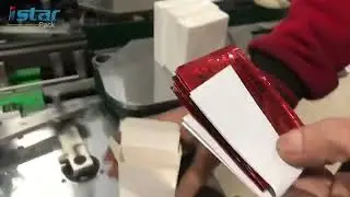 four side seal sachet cartoning machine with leaflet function