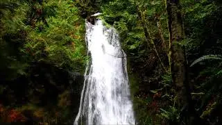 Madison Creek Falls Elwha