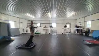 Levi the Black Lab Mix | Reactivity to Strangers Training | Week 2 Day 4 at Best Paw Forward