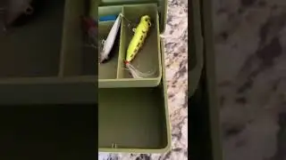 Tackle box #fishing #funny #lure #fyp #shorts 