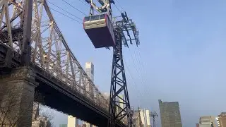 One Giant Leap to Roosevelt Island - A Wolferz at the Big Apple