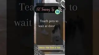 Pet Training tip #10 : Tail-Wagging Success: Dogs & Cats Training Guide!