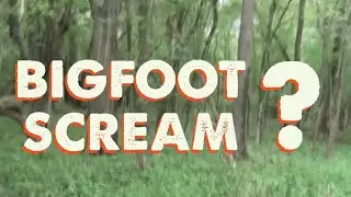 Bizarre (Bigfoot?) Scream Sends Mushroom-Hunter Packing