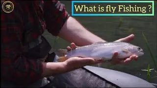 Key Facts About Fly Fishing #troutfishing #fishingvideo  