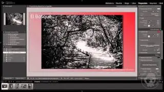 Tutorial Lightroom #6 - Módulo Proyección