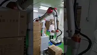 Wanerx Extreme Palletizing Radar-Guided Safety & Efficiency #palletizer #manufacturing