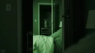 She Wasn&rsquo;t Prepared for That Wake-Up Call Unexpected Visitor Shocks Her #Surprise #Morning #Viral