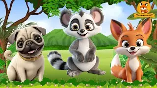 Animal Habitats: Fox, Dog, Lemur, Rhino, Flamingo, Sheep - Animal Videos