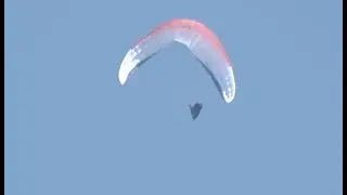 Swiss League SIV 2019 - Advance Omega XALPS II