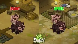 🎉 GUILDE DÉJÀ NIVEAU 6 🏰 & CRA ENFIN NIVEAU 200 🎯 | DOFUS 3