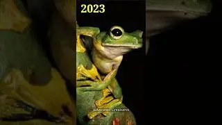 2023 Wallace Flying Frog and 5000 Bce Flying Frog || Ancient Creatures #shorts #shortvideo #viral