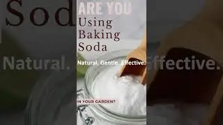 Feel Confident Again After 60 &mdash; The Senior Health Benefits of Baking Soda