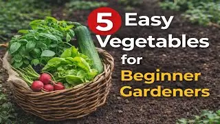 5 Easy Vegetables Every Beginner Should Start With