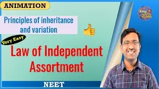 Law of Independent assortment I NEET I Dr Kunal Tatte (KT)