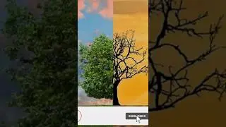 Heat wave (Part 2) #youtube #facts #video #history #viral #amazingfacts #youtubeshorts #heatwaves