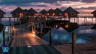 Tropical Nighht Chilling Meditation  Music /Jazz Studying Music /Avant-Garde Jazz  Lounge