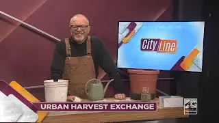 Urban Harvest Exchange: различные сорта чеснока и способы его выращивания &mdash; Cityline &mdash; 2 октября ...