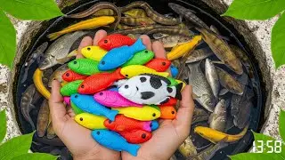 Catch colorful fish in plastic bottles, including small fish, large fish, and baby fish.