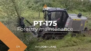 FAE PT-175 tracked carrier with a custom grey colour, mulching bushes in Canada