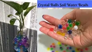Crystal Balls Soil Water Beads
