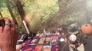 🌟GEMINI 11/11 PORTAL READING🌟