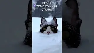 поет Светлана Кутузова гр Симпатика #musicbox #muztv