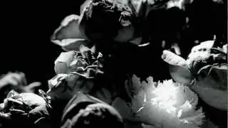 Yan Wagner - Forty Eight Hours (Clip Officiel)