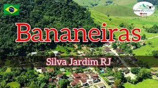 Bananeiras #silvajardim#natureza #drone